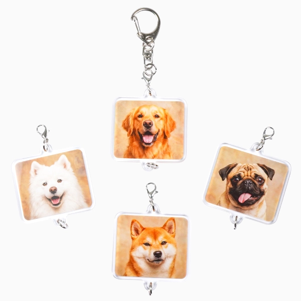 可愛い動物たちのシャカシャカアクリルキーホルダー
